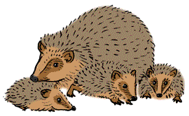 Familie Igel