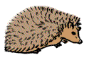 Igel