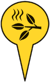 Jalon Biomasse