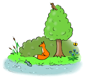 Ein Fuchs am Fluss in der Natur