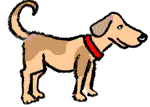 Hund
