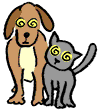 Ein Hund und eine Katze