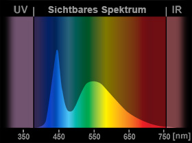 Lichtspektrum: LED-Lampe 