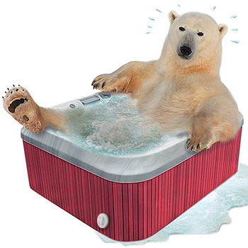 Eisbär in einem Whirlpool