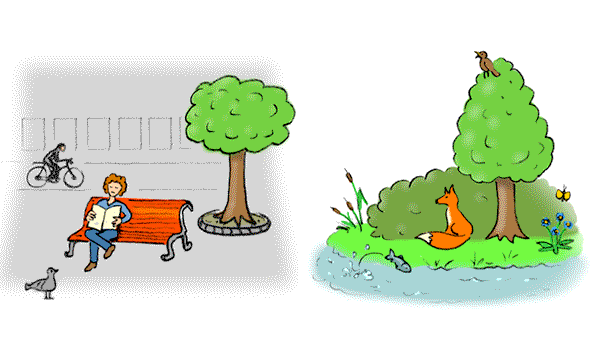 Umwelt und Natur
