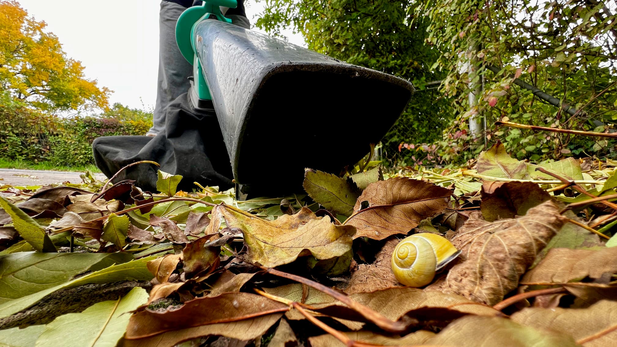 Laubbläser: Auswirkungen auf Gesundheit und Umwelt